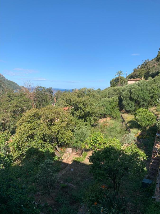 Hotel Colombo- Porto Corse Zewnętrze zdjęcie